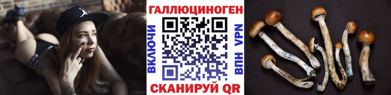 Псилоцибиновые грибы Magic Shrooms  Инсар 